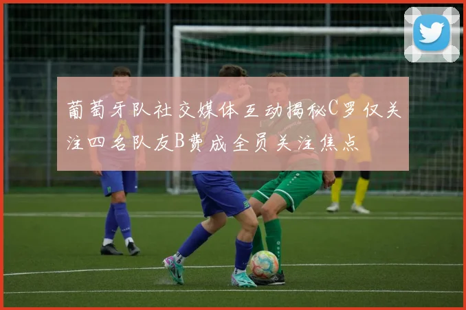 葡萄牙队社交媒体互动揭秘C罗仅关注四名队友B费成全员关注焦点